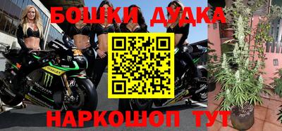 индика Ликино-Дулёво