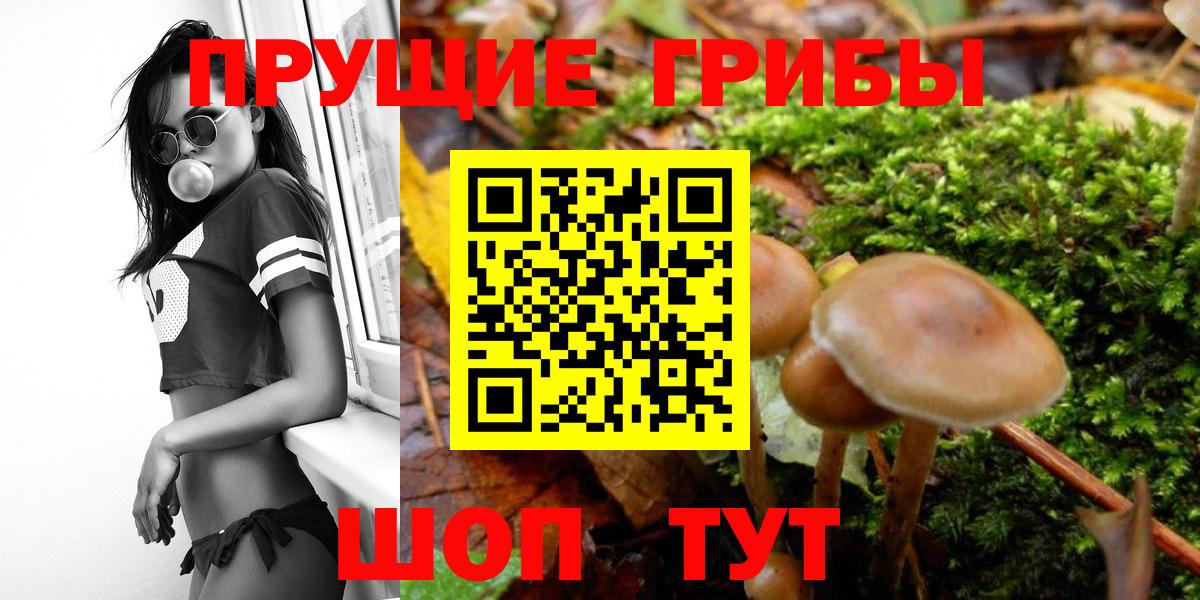 Галлюциногенные грибы мухоморы Электрогорск